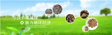 倪維斗院士：通過技術創新，大力發展超級能源生物質燃料